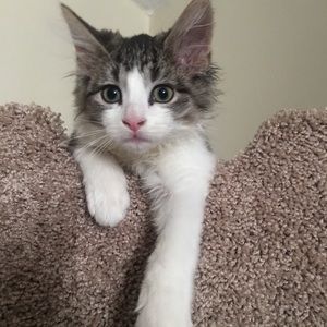 Meet your Posher, Starla